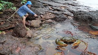 Giant King Crab Catch and Cook At the Beach  Giant Sea Crab Cooking with Big Wave  Wilderness Food [upl. by Lorn]