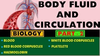 BODY FLUID AND CIRCULATION Part  2 UPSCSSC  CDS  PSC and other Govt [upl. by Aliel]