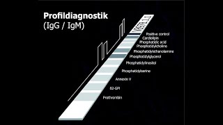 AntiPhospholipid 10 Dot [upl. by Erminia]