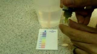 Alkalife Alkaline Water Booster review PH boost H20 [upl. by Yelloh355]