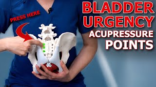 How to Relieve Bladder Urgency and Incontinence with Acupressure Expert Tips [upl. by Esinert212]