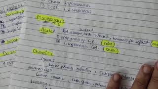 acute and chronic cholecystitis easy explanation pathology [upl. by Tteraj194]