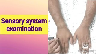 Sensory system examination [upl. by Eceirehs]