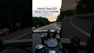 Harley Dyna Full Throttle harleydavidson bikelife speed [upl. by Elamef]