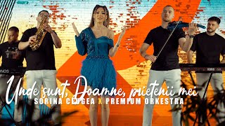 Sorina Ceugea ❌premiumorkestra  Unde sunt Doamne prietenii mei Official video [upl. by Anaitat]