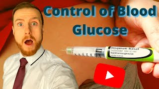 HOMEOSTASIS Control of Blood Glucose AQA ALevel Biology [upl. by Irbua204]