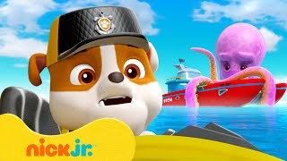 PAW Patrol Rubble voert gedurfde reddingsacties uit  Compilatie van 1 uur  Nick Jr Nederlands [upl. by Skiba]