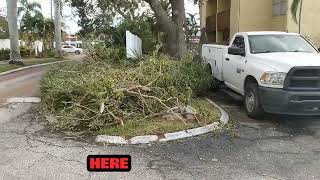 Parking Lot Damage At Condo Complex [upl. by Arahk]