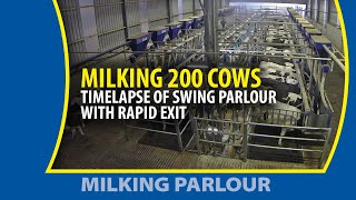 Timelapse Milking 200 cows  with the fast exit milking parlour [upl. by Kila]