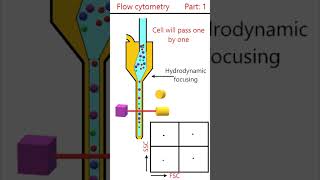 Flow Cytometry Principle Part 1 animation [upl. by Air]