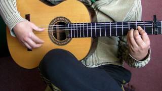 flamenco guitar  tientos [upl. by Balac77]