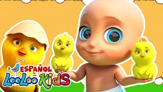 🎶🐤🐥Los Pollitos Dicen Pio Pio de LooLoo Kids en Español  ¡Una Hora de Diversión para Niños 🌈 [upl. by Ricca514]