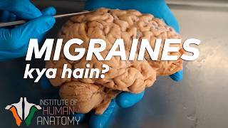 Migraines kya hain in Hindi [upl. by Kathlin]