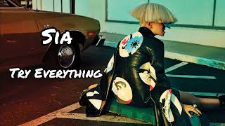 Sia  Try Everything Demo For Shakira [upl. by Letsyrk353]