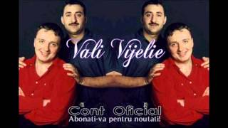 COSTI IONITA amp VALI VIJELIE amp ADRIAN MINUNE  OF OF OF MOR TOTI TIGANII OFFICIAL TRACK [upl. by Hyacinthe]