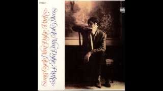 Van Dyke Parks  By the People Song Cycle 1968 [upl. by Oranneg993]