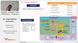 ANEMIA HEMOLÍTICA  HEMATOLOGÍA  VILLAMEDIC [upl. by Atekan708]