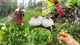 Dharai din bath forest grass cutting ma gako aju Rural life in village vlog [upl. by Neeruam]