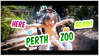 【Ariels Story Tales】Perth Zoo Carousel is OPENED What animals can we spot in Summer🦦 [upl. by Aleafar]