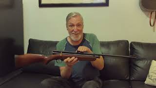 Beeman QB78E CO2 Airgun Review  Final Thoughts [upl. by Eecak766]