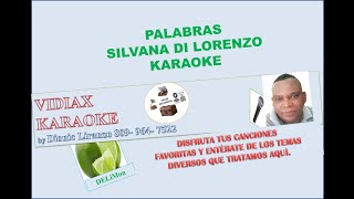 Silvana Di Lorenzo Palabras karaoke [upl. by Sabian]