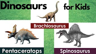 Dinosaurs Names for Kids  24 Dinosaur Names  Types Of Dinosaurs [upl. by Aicemak]