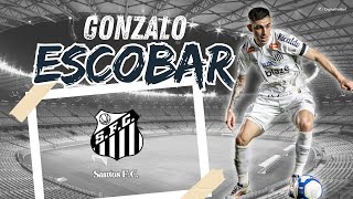 Gonzalo Escobar  Santos FC [upl. by Paviour]