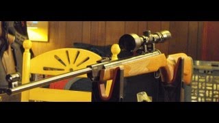 Xisico XSB28 Pellet Rifle Review  RWS 350 Magnum Clone OVER 1400FPS [upl. by Valery10]