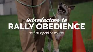 Introduction to Rally Obedience  SelfStudy Course [upl. by Greer]