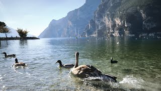 Family trip to Italy Riva del Garda  Garda Trentino half marathon 2024 [upl. by Patrice99]