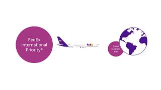 Introduction to FedEx Priority services [upl. by Suired]