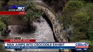 Man jumps into crocodile exhibit at Alligator Farm  Action News Jax [upl. by Nadoj403]