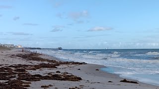 Live Webcam View  Cocoa Beach Pier [upl. by Lezah]