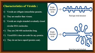 Viroids [upl. by Flanagan]