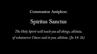 Spiritus Sanctus Docebit Vos Communion Antiphon [upl. by Euhc695]