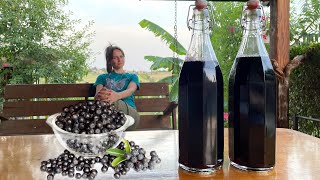 Refreshing Aronia Berry Chokeberry Antioxidant Syrup [upl. by Sparrow719]