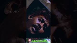 Sodhanai Theeravillai Video Song  Sendhoora Poove Tamil Movie Songs  Vijayakanth  ytshorts [upl. by Ociral]