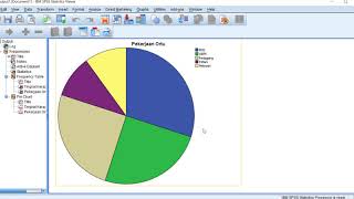 Descriptive Statistics for Nominal and Ordinal Data SPSS 20 [upl. by Ransome]