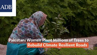 Pakistani Women Plant Millions of Trees to Rebuild Climate Resilient Roads [upl. by Tate]