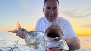 🇬🇷Fishing Report from Greece 🇬🇷 Black Hole USA Challenger Bank III Travel 763M Rod [upl. by Nitsirhc283]