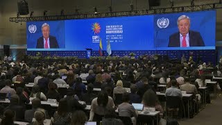 UN chief urges significant investment in fund to save nature  AFP [upl. by Jermain]