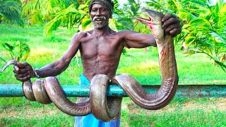 MONSTER SEA SNAKE fish RECIPE  BIG EEL FISH COOKING Traditional Village Food Grandpa Show [upl. by Waal]