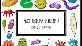 Ancylostoma Duodenale [upl. by Nnylakcaj]