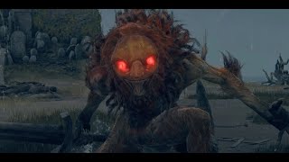 Leonine Misbegotten Elden Ring Reforged Mod [upl. by Eliath765]