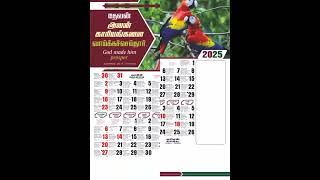 2025 Bible Verse Calendars calendar 2025model wall Calendars [upl. by Ragnar]