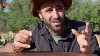 Sting pain index with Coyote Peterson [upl. by Eriha]