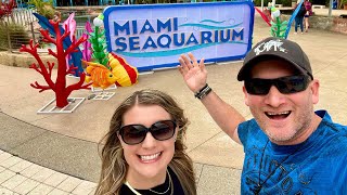 Miami Seaquarium  4K Tour [upl. by Eisserc]