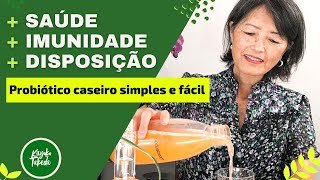 Probióticos para INICIANTES  Receita caseira SIMPLES e FÁCIL  Rejuvelac [upl. by Kendy111]