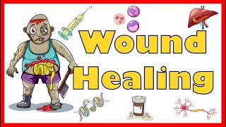 Wound Healing Mechanism Types Primary Secondary amp Tertiary intention of healing amp Complications [upl. by Blackman5]