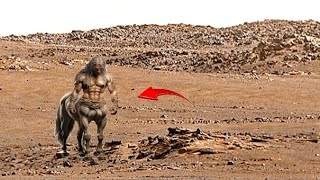 How Perseverance Rover is Reveals Mars’ Planet Ancient Secrets On Sol 1496 [upl. by Adlai]